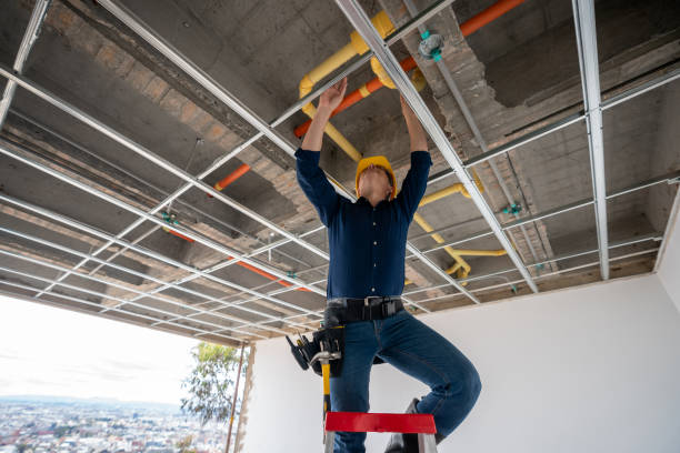 Best Plumbing Inspection Services  in Reno, NV